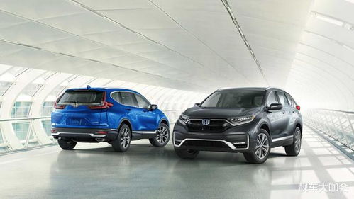 开元20万左右性价比最高的车(20万左右性价比最高的车有哪些)(图1)